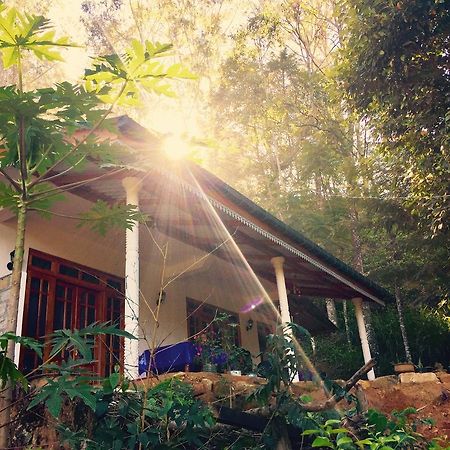 Secret Nest Homestay エッラ エクステリア 写真