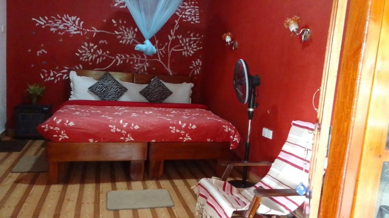 Secret Nest Homestay エッラ エクステリア 写真