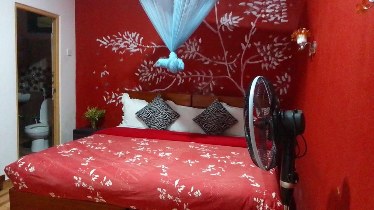 Secret Nest Homestay エッラ エクステリア 写真