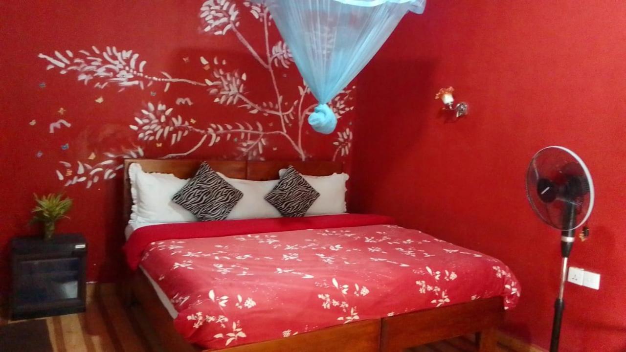 Secret Nest Homestay エッラ エクステリア 写真