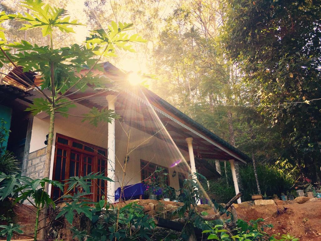 Secret Nest Homestay エッラ エクステリア 写真