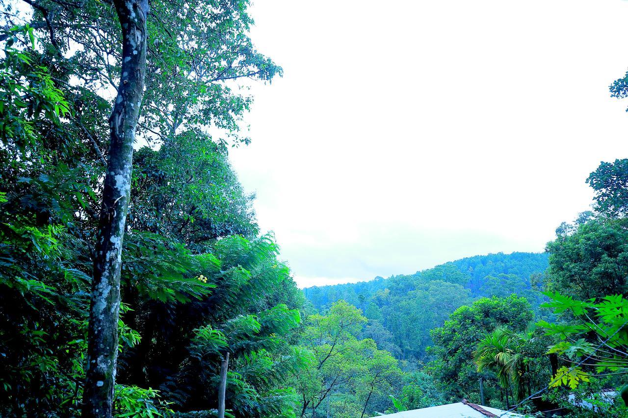 Secret Nest Homestay エッラ エクステリア 写真