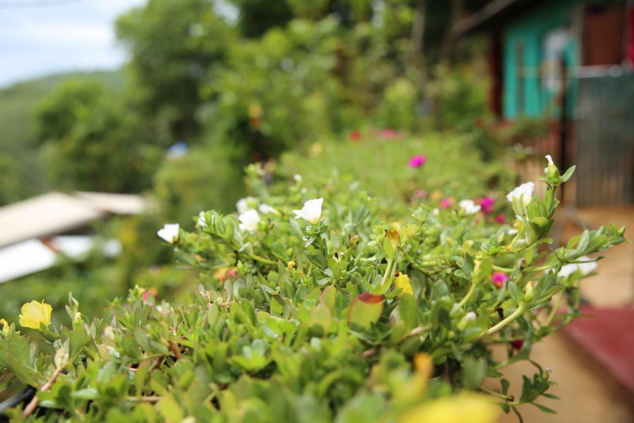 Secret Nest Homestay エッラ エクステリア 写真