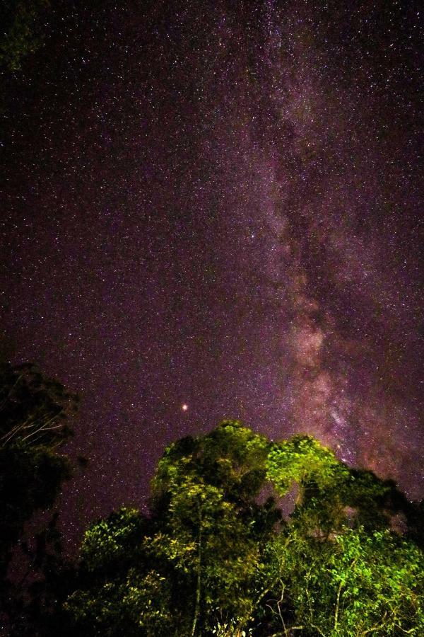 Secret Nest Homestay エッラ エクステリア 写真